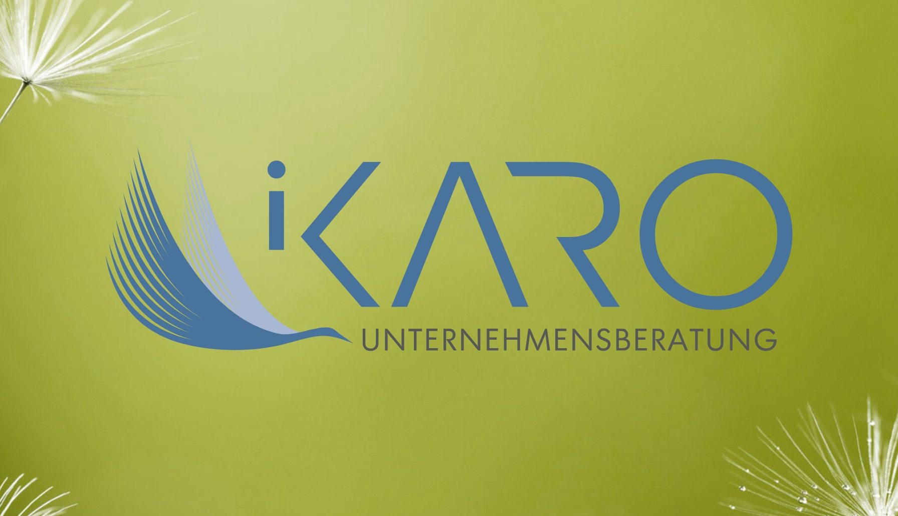 (c) Ikaro.at